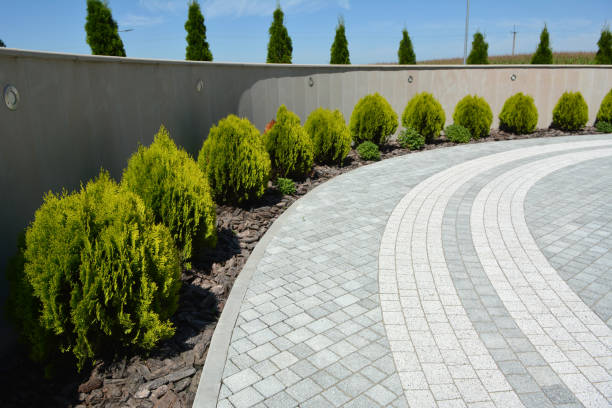 Best Residential Paver Driveway  in St Anne, IL